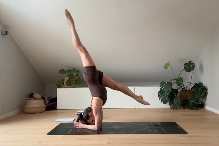 Core to Fly: Pincha Foundations