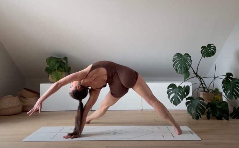 Fluid Flexibility: Reawakened Flow