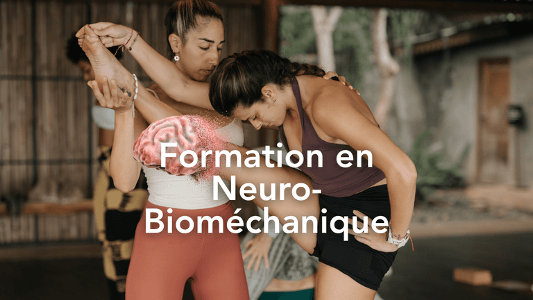 Formation en Neuro-bioméchanique du mouvement