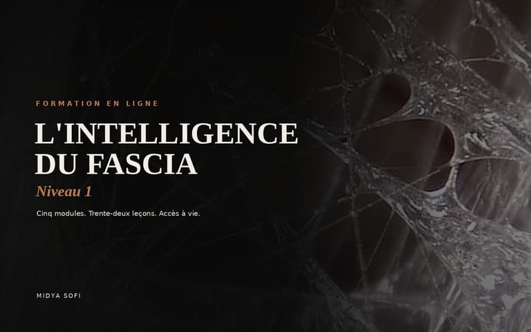 Formation Intelligence du fascia I