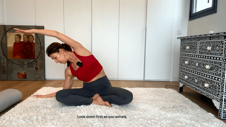 The Posture Formula