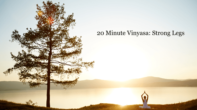20 Minute Vinyasa Flow For Strong Legs 