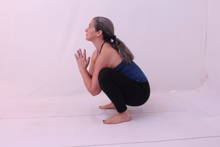 Free Introduction to Strength and Mobility with Vinyasa Yoga 