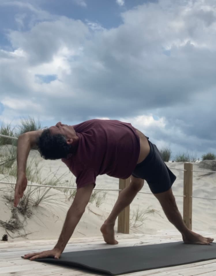  Mastering Vinyasa Book (pdf) Plus Introductory Vinyasa Video Series 