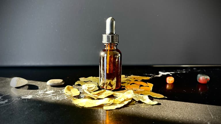 The Grief Support Supplement Guide