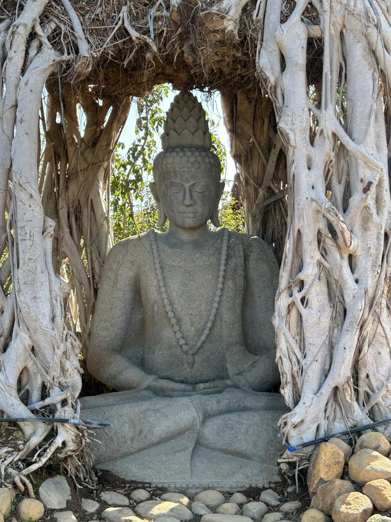 Yoga Philosophy: Certified Training (YACEP)