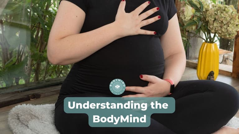 Understanding the BodyMind