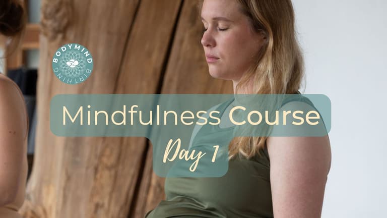 Mindfulness Course: Day 1