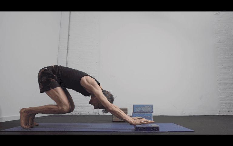 Asana Skill Building and Philosophy of the Hatha Yoga Pradipika