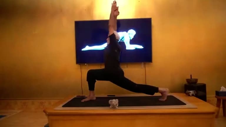 All Level Complete Practice: Graceful Flow with Sri Dharma Mittra