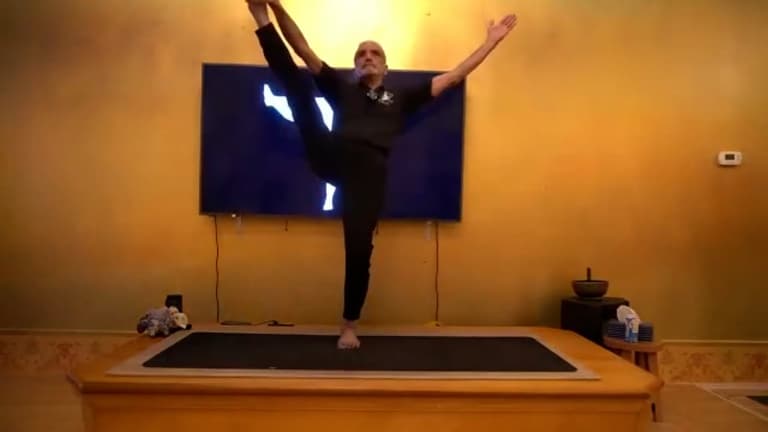 Master Class: Mastery in Motion with Sri Dharma Mittra 
