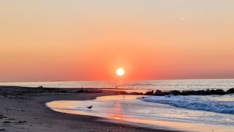 Transformational Changemaker Method