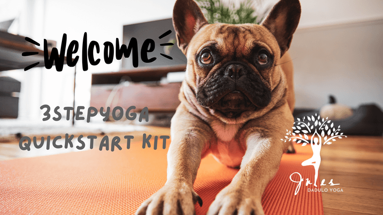 3StepYoga Quickstart Kit
