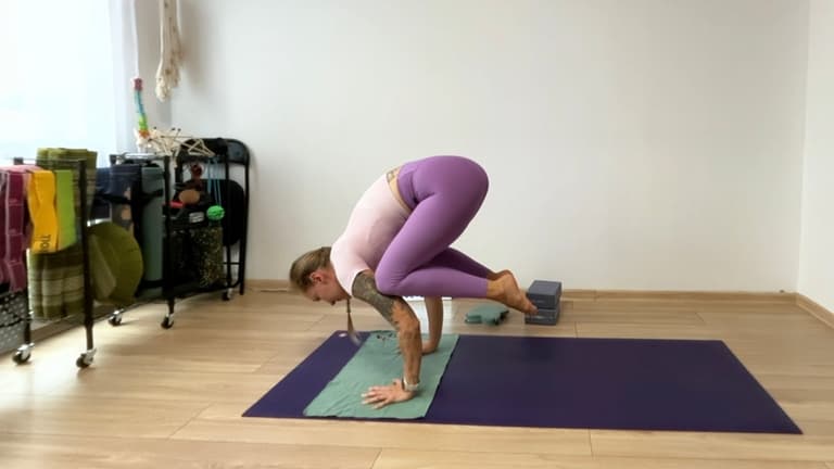 Vinyasa Flow: peak pose - Kruk