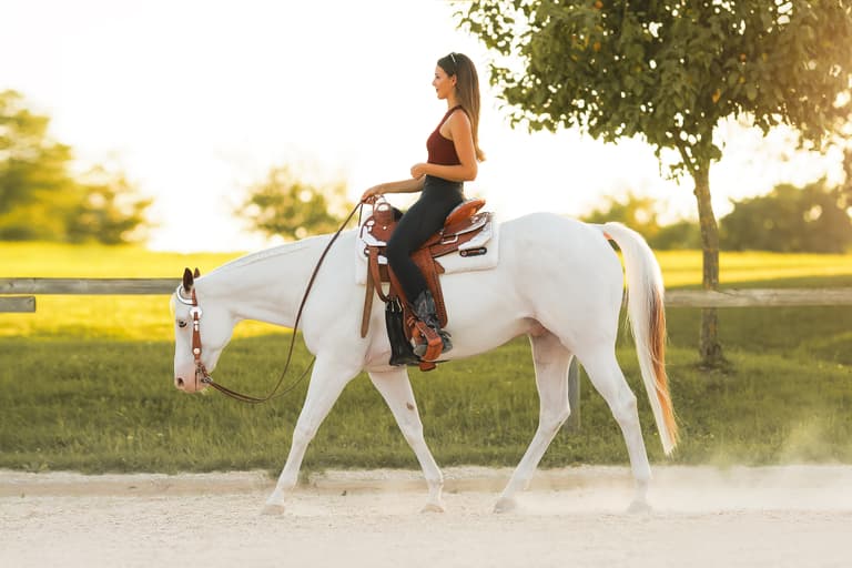 Balanced Seat: Hips in Action