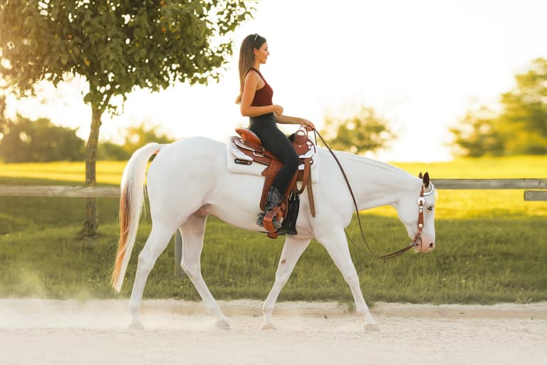 UNLOCKED HIPS: 6 steps to freedom in the hips for a deep seat and a relaxed horse