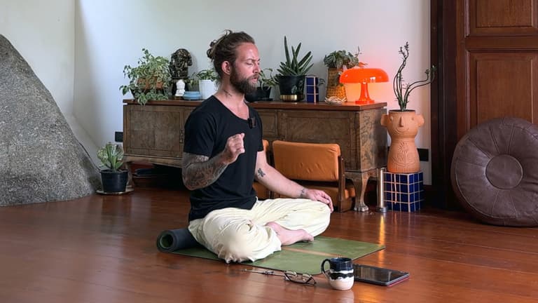 Hatha Sadhana: Holistic Longevity 1