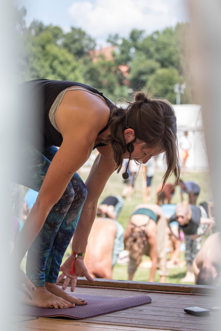 Yogatherapy teaching Blueprint