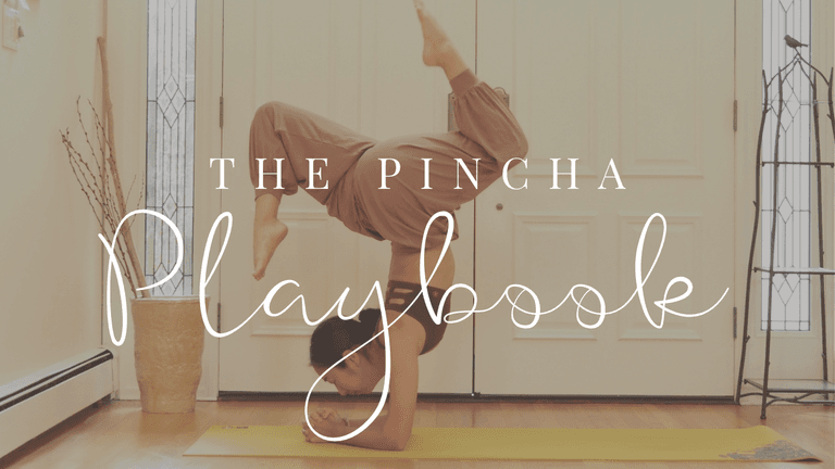 The Pincha Playbook