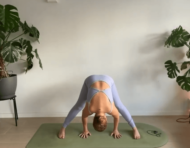 60 Minutos  Ashtanga en vivo por zoom