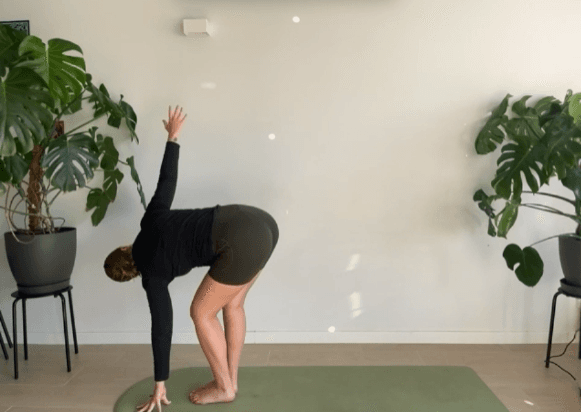 60 Minutos Vinyasa en vivo por zoom