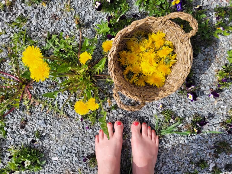 Naturkraft yoga utdannnig info