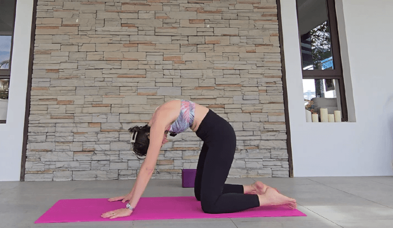 3 Exercises au Sol Pour Détendre le Dos